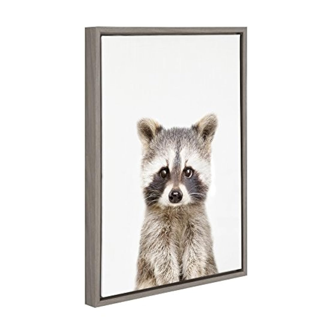 Kate and Laurel Sylvie Raccoon - Lienzo enmarcado para pared
