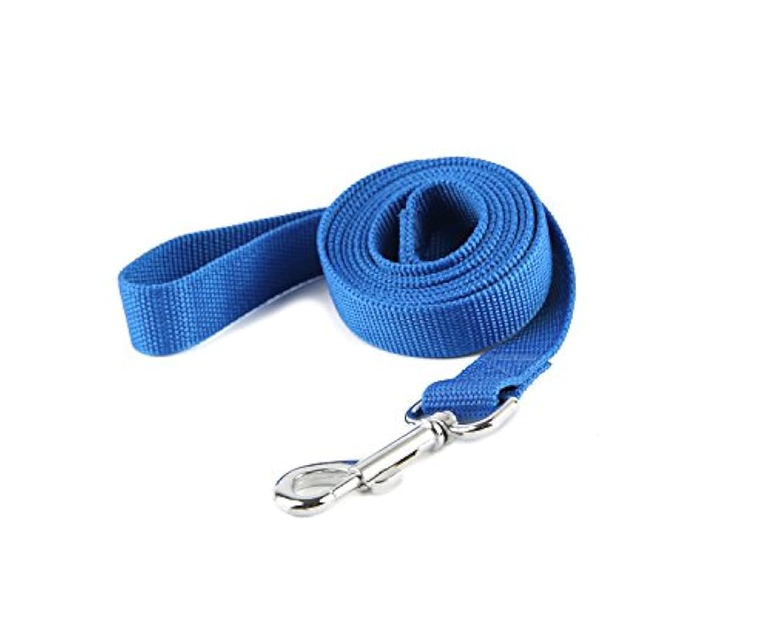 Correa adiestramiento canino nailon resistente