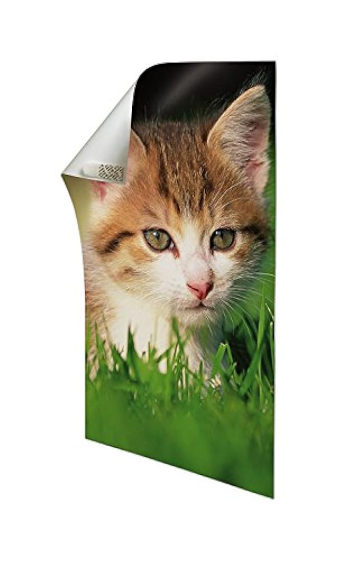 paquete de 136 tiras de color blanco para colgar pósteres