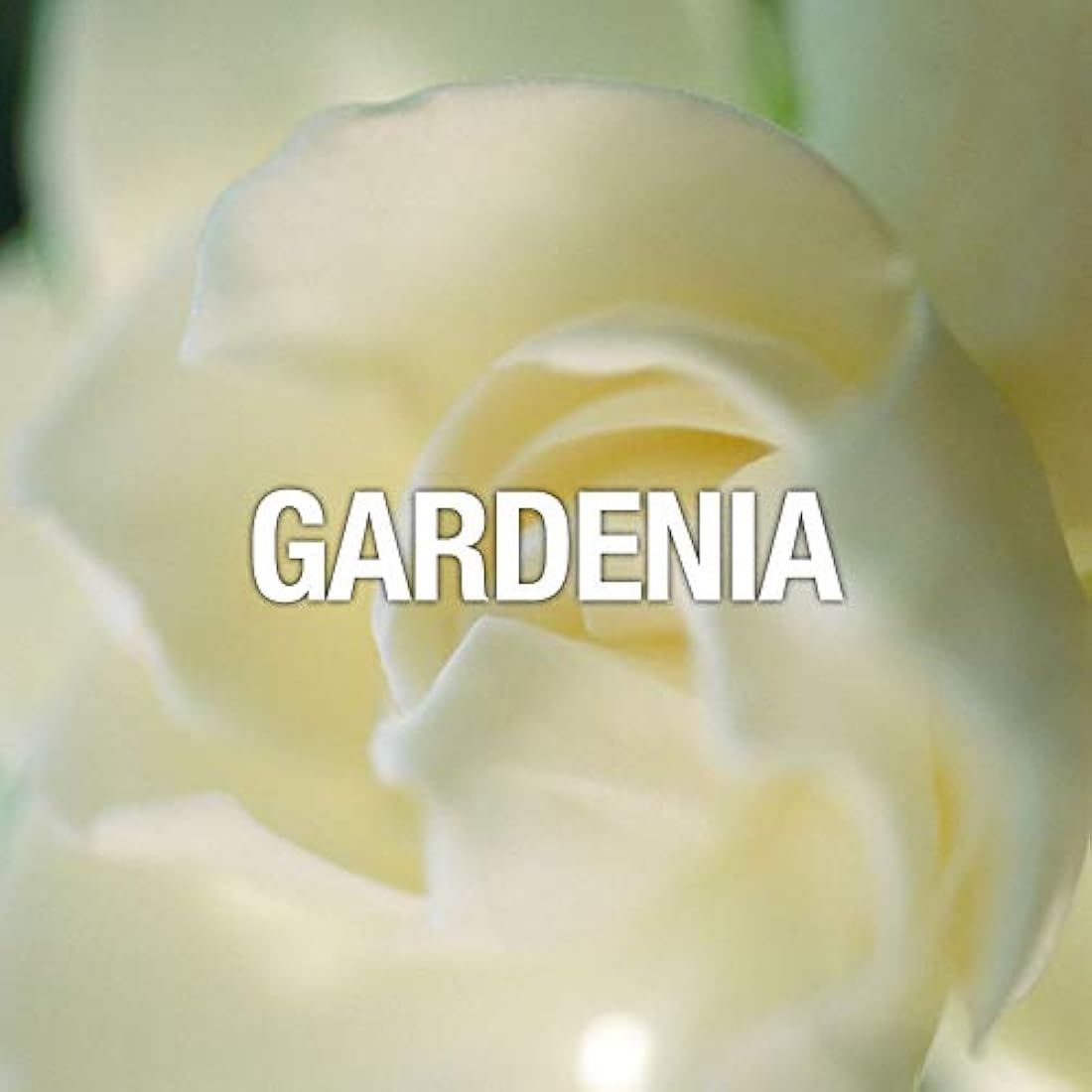 Juego de perfume para mujer por Paul Sebastian