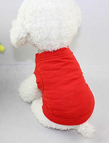 Alroman Camisas para perros