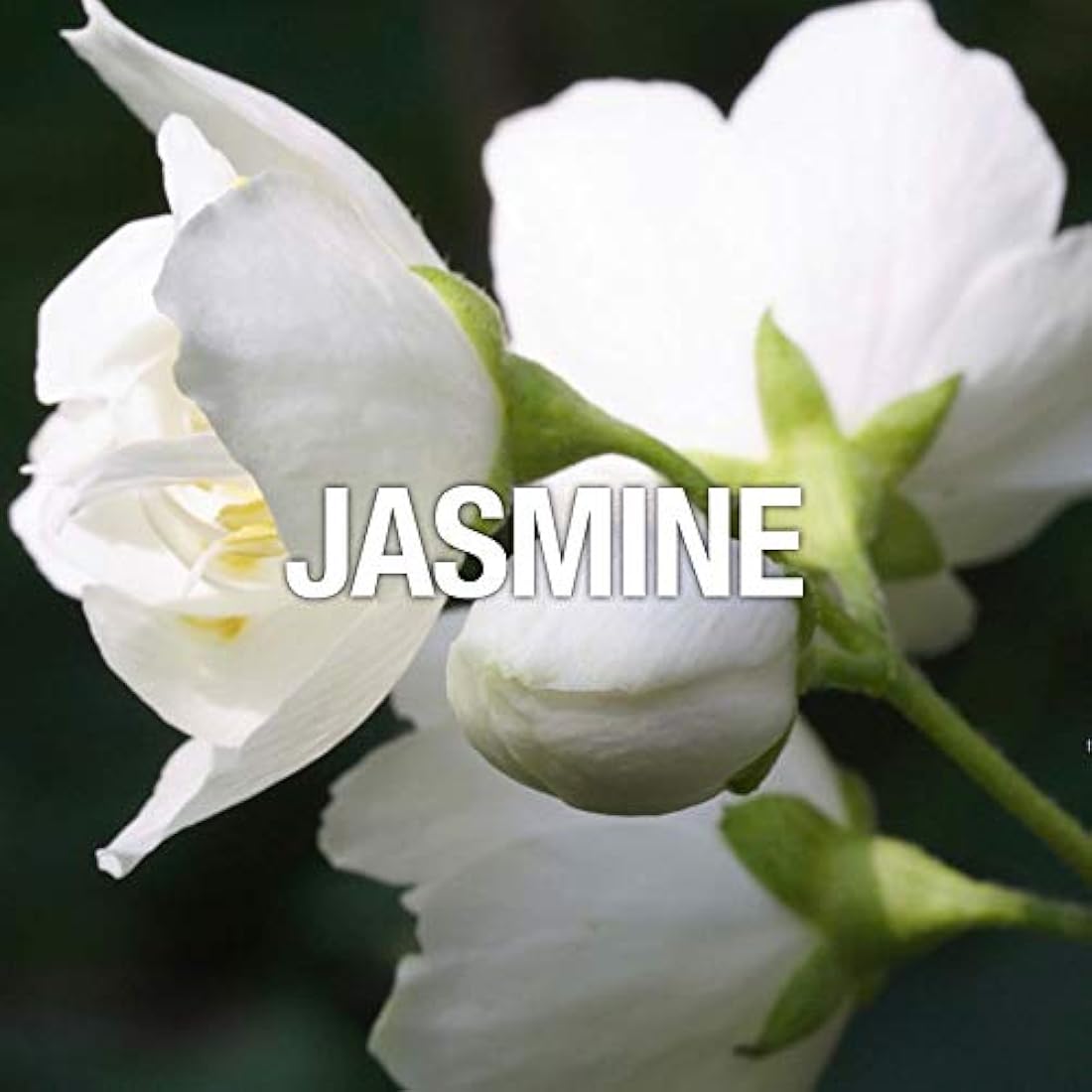 Juego de perfume para mujer por Paul Sebastian