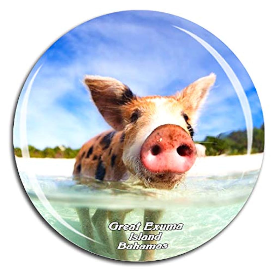 Imán con diseño de la isla Bahamas del Caribe de Great Exuma