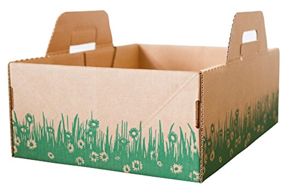 Cajas de arena de diez segundos para gatos