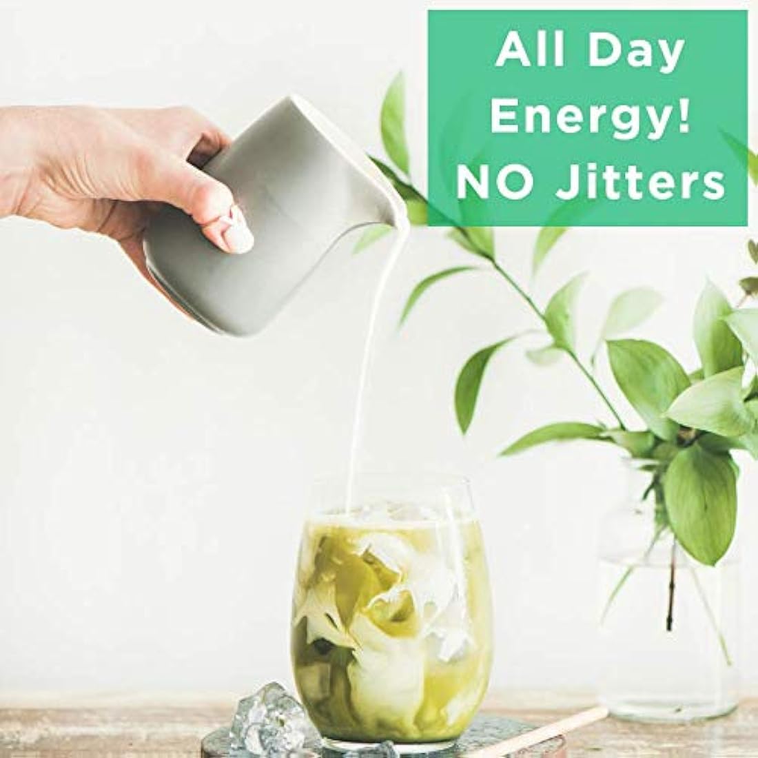 té verde en polvo USDA orgánico japonés Matcha