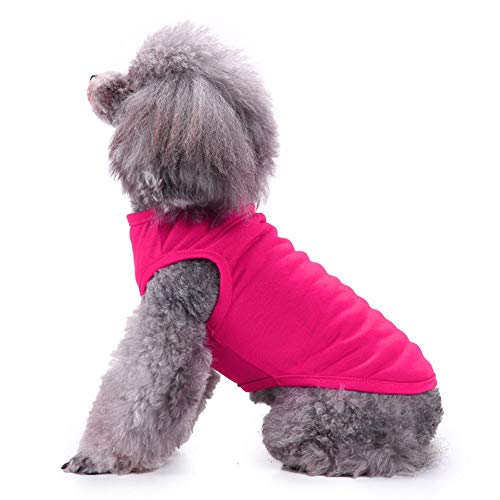 Chol&Vivi - Camisetas para perro (2 unidades, talla pequeña, tamaño mediano, grande, extra grande, para perro, gato, algodón, suave y transpirable, Rosa y rojo rosa.