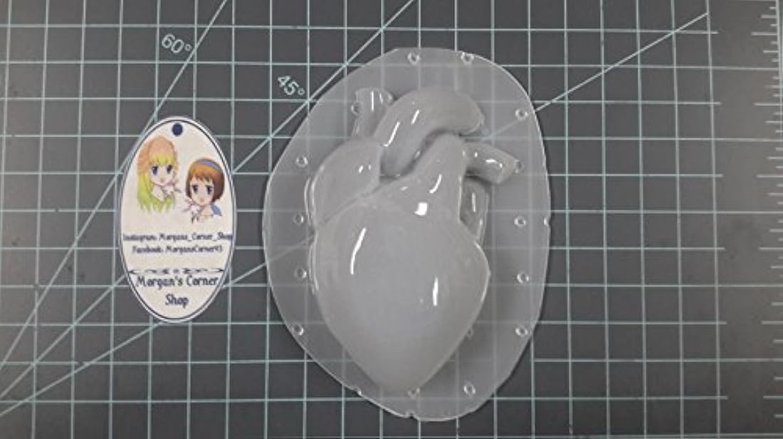Corazón humano (Tamaño Mediano) Resina Molde de plástico, moho, moho de corazón, la arcilla del moho, jabón moho, de cera, anatomía del moho, moho humanos, Bomba de Baño