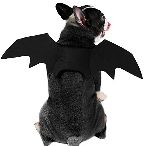 Disfraz Rypet de murciélago, disfraz de Halloween para mascotas, alas de murciélago para perro