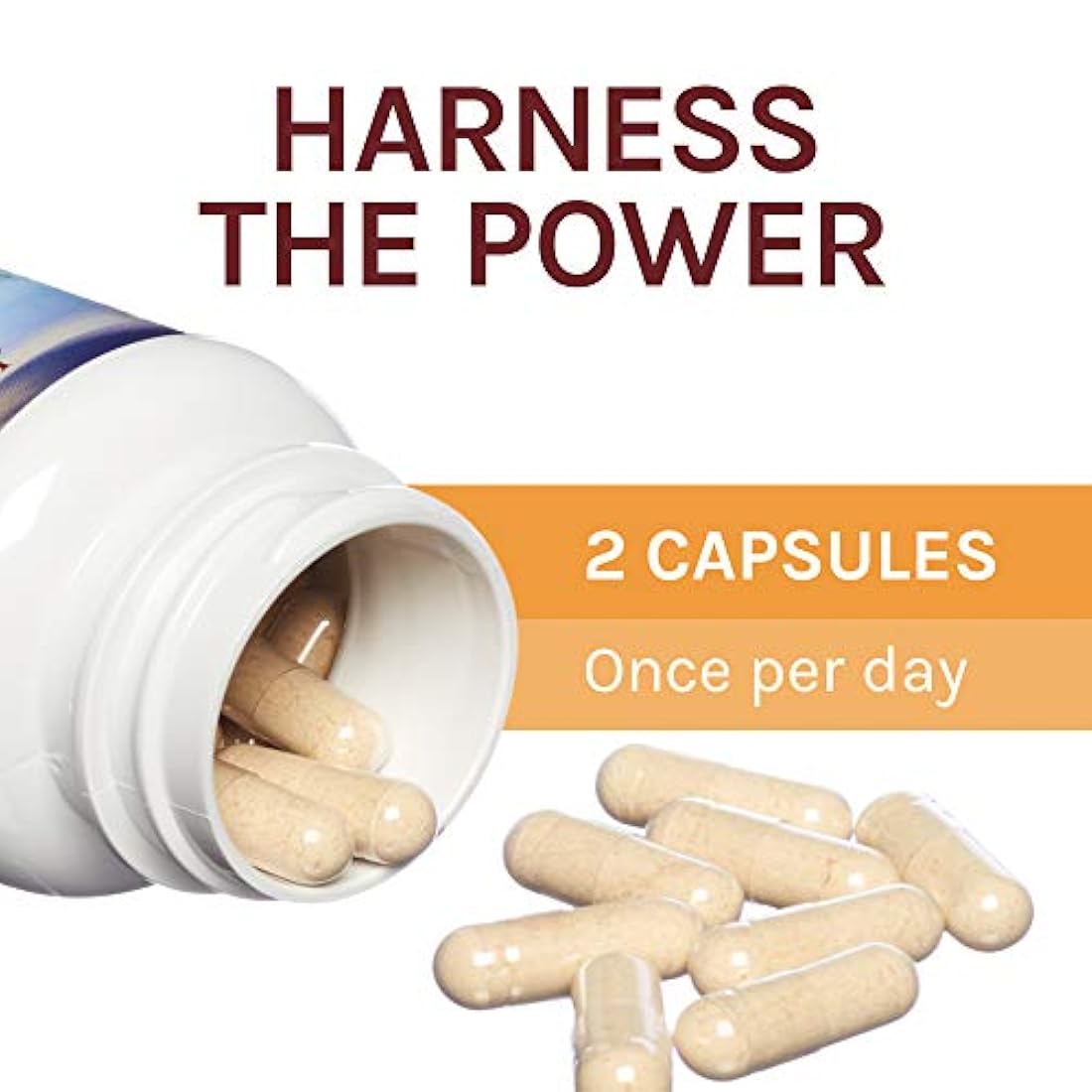 Host Defense - Cápsulas de Chaga, Antioxidante de hongos