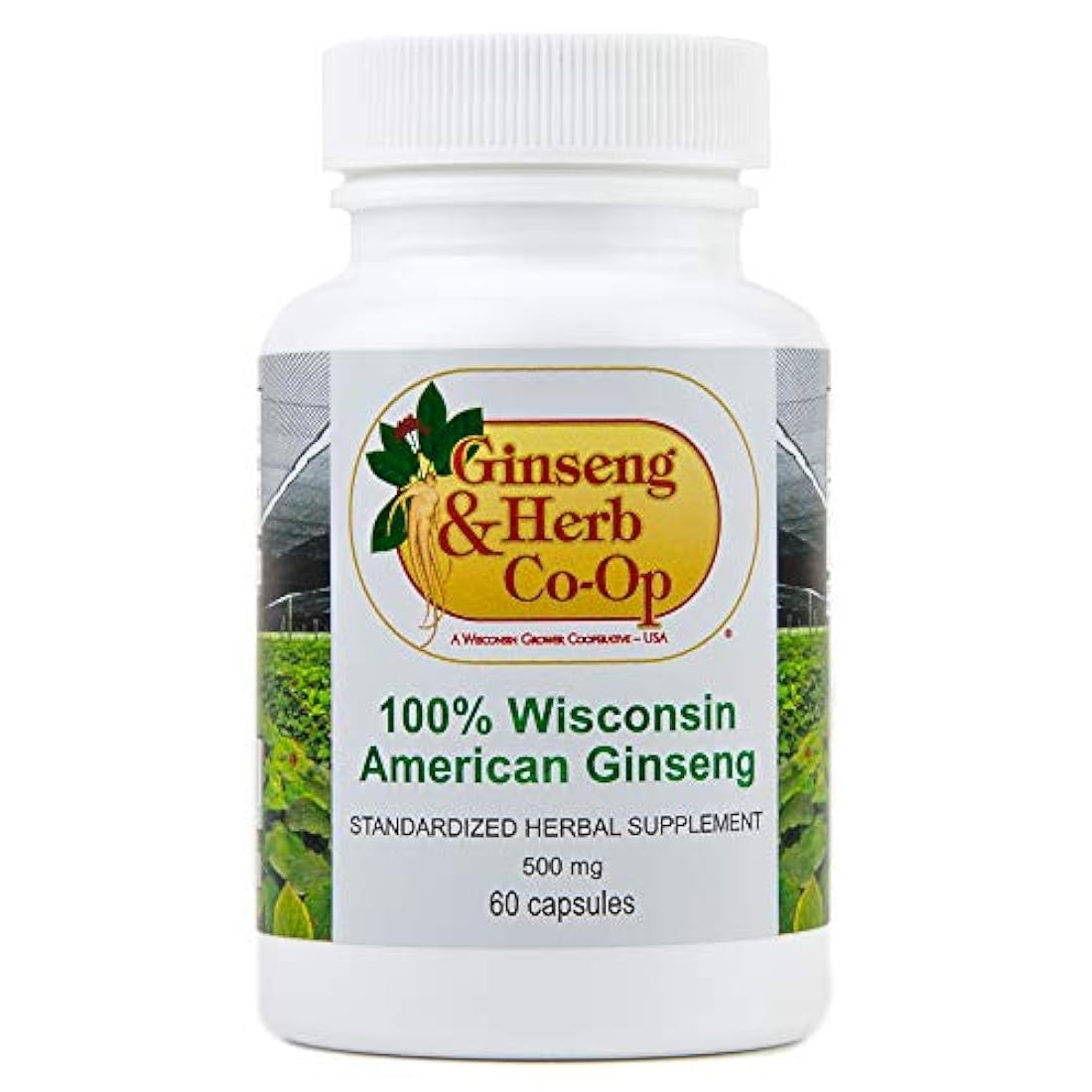 100% puro Wisconsin el Ginseng