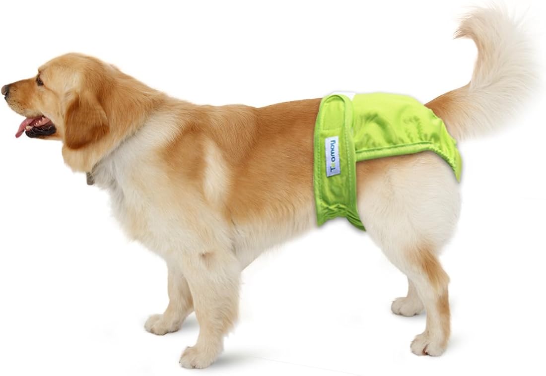 Teamoy – Pañales lavables para perros hembras, reutilizables, súper absorbentes y cómodos