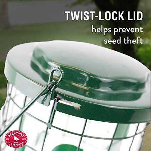 Comedero para pájaros salvajes, Verde 114G Perky-Pet