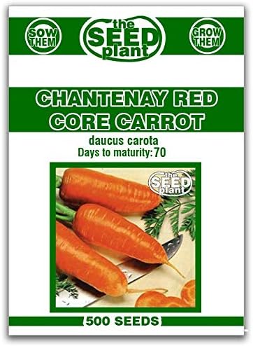 Semillas de Zanahoria Chantenay Red Core - 500 Non-GMO semillas
