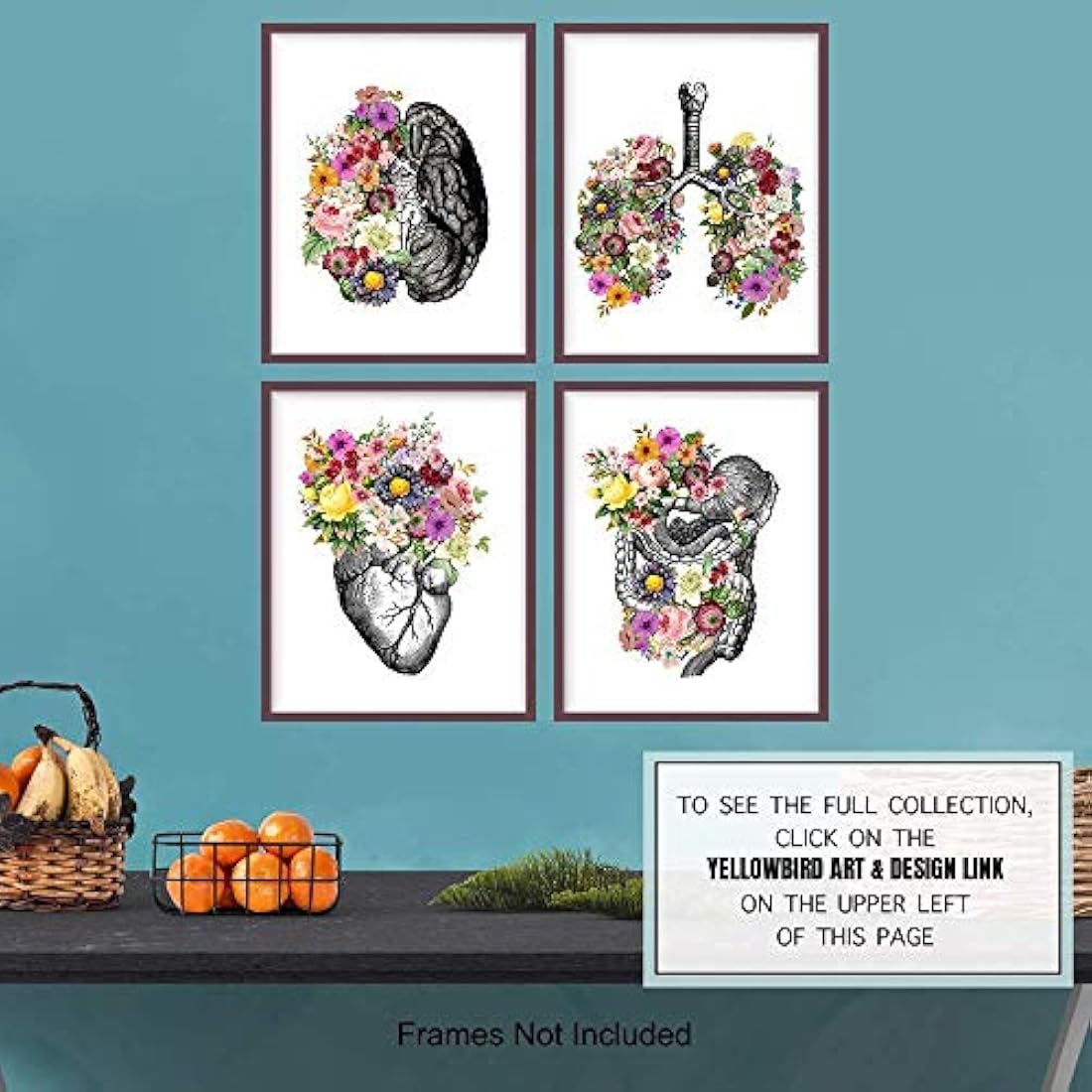 fotos sin marco -Corazón pulmones cerebro intestinos