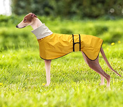 Chubasquero para perros con barra reflectante, resistente a la lluvia/al agua, chaleco ajustable – impermeable para perros galgos, Lurchers y Whippets 0608