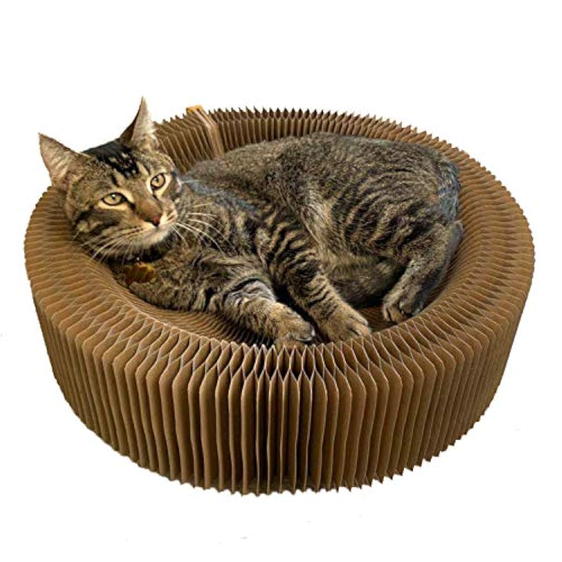 Cama redonda plegable de cartón corrugado para gatos
