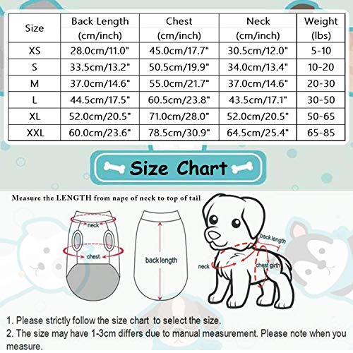 Wizland Chubasquero para perros con capucha, ligera, impermeable, XS a XXL para perros y cachorros (amarillo, XS)