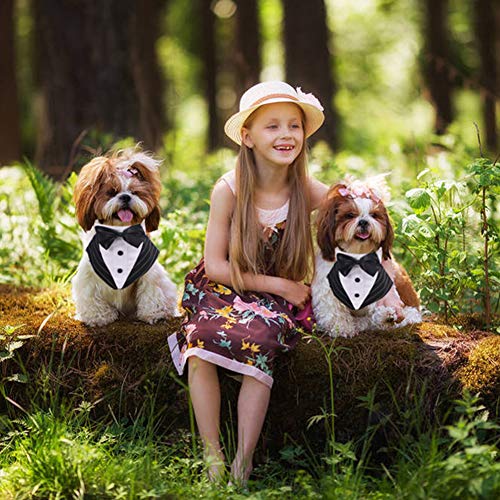 Conjunto de disfraz de esmoquin para perro pequeño