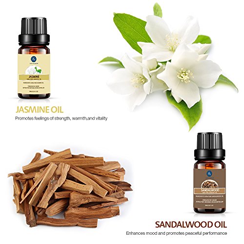 Top 20 Aceites de aromaterapia