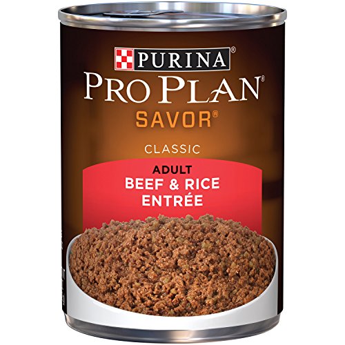 Alimento para perros, sabor carne