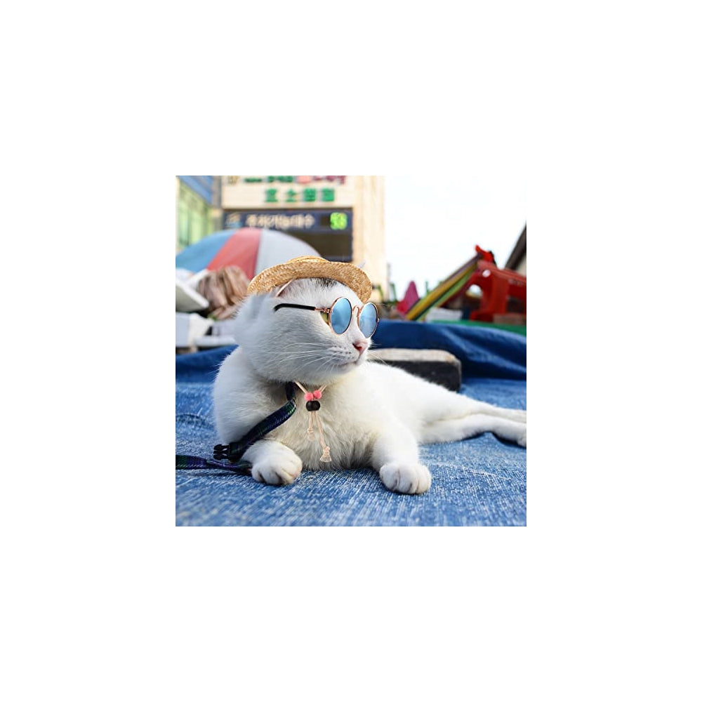 Disfraces de 6 piezas para perro talla única