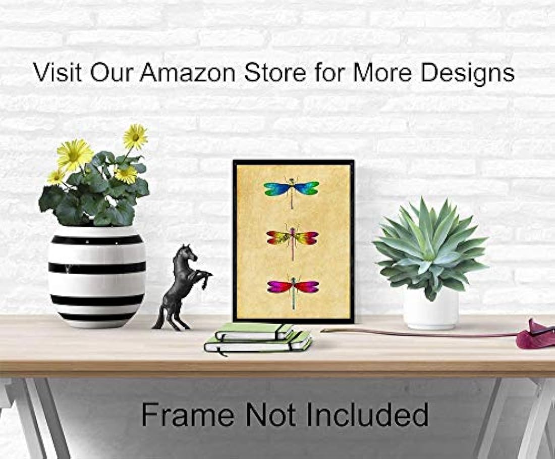 Decoraciones de habitaciones únicas