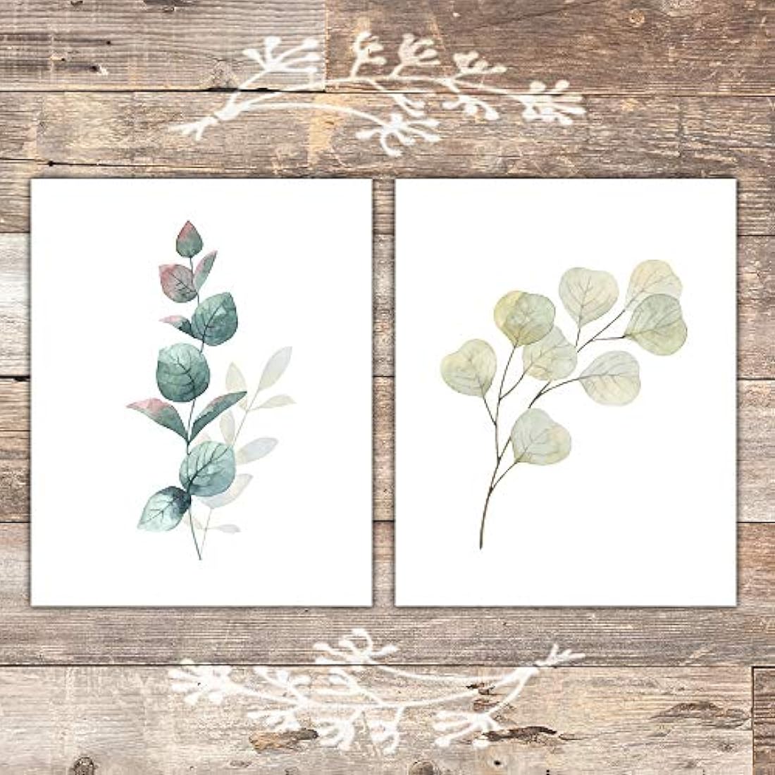 Impresiones botánicas - Hojas de eucalipto - (Juego de 6)