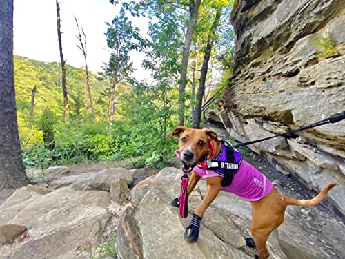 EXPAWLORER botas a prueba de agua, para perro, antiderrapantes, refractantes, botines de mascotas para perros medianos, perros grandes, negro, 4 piezas