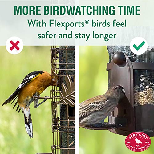 Perky-Pet 334-1SR Squirrel-Be-Gone Max Alimentador de pájaros con Flexports - 4 Lb
