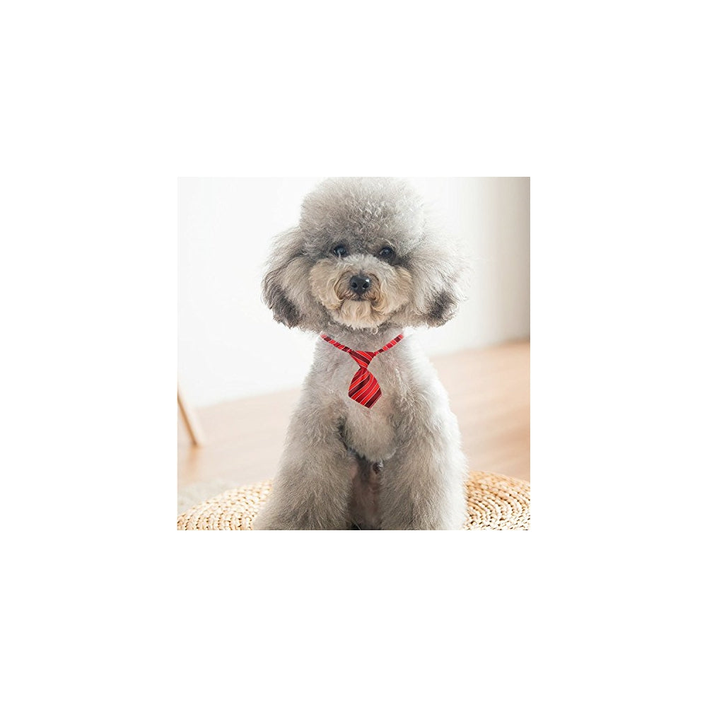 Disfraces de Lazos para perros pequeños talla S