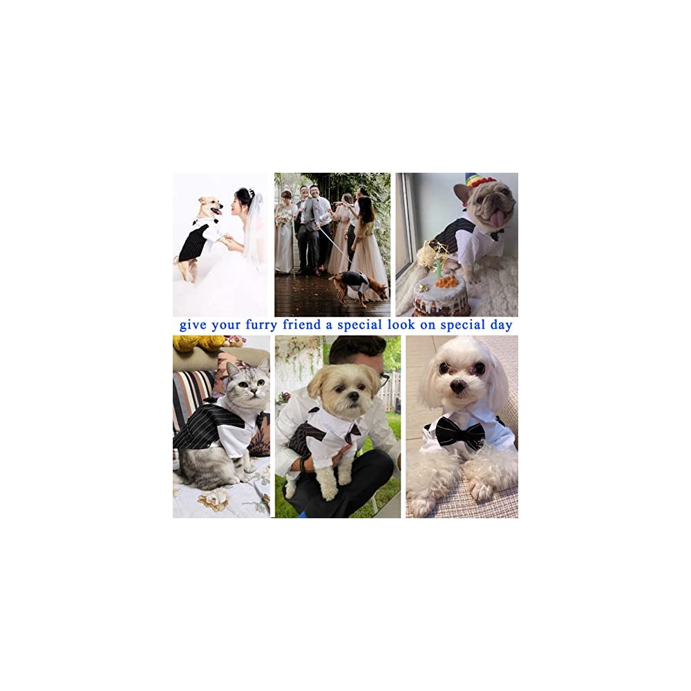 Disfraces de Camisa de esmoquin para perro talla XS