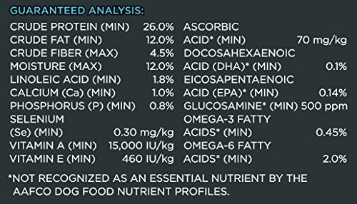 comida para razas grandes para adultos Alimentos