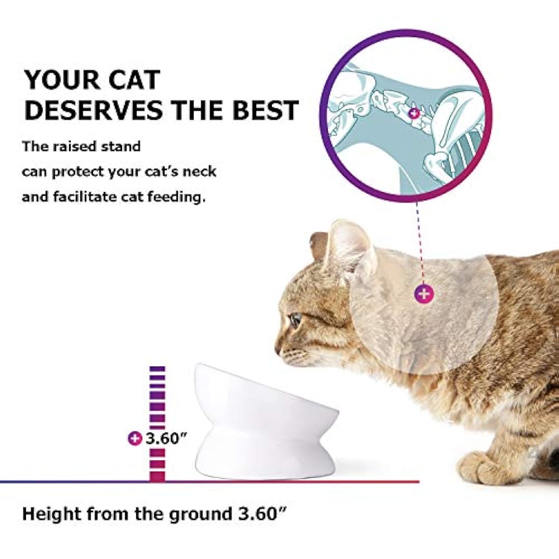 Y YHY tazón de comida para gatos, inclinado, con elevación, de cerámica, para comida de mascotas, gatos con cara chata, perros pequeños, protege la columna vertebral de las mascotas, apto para lavavajillas