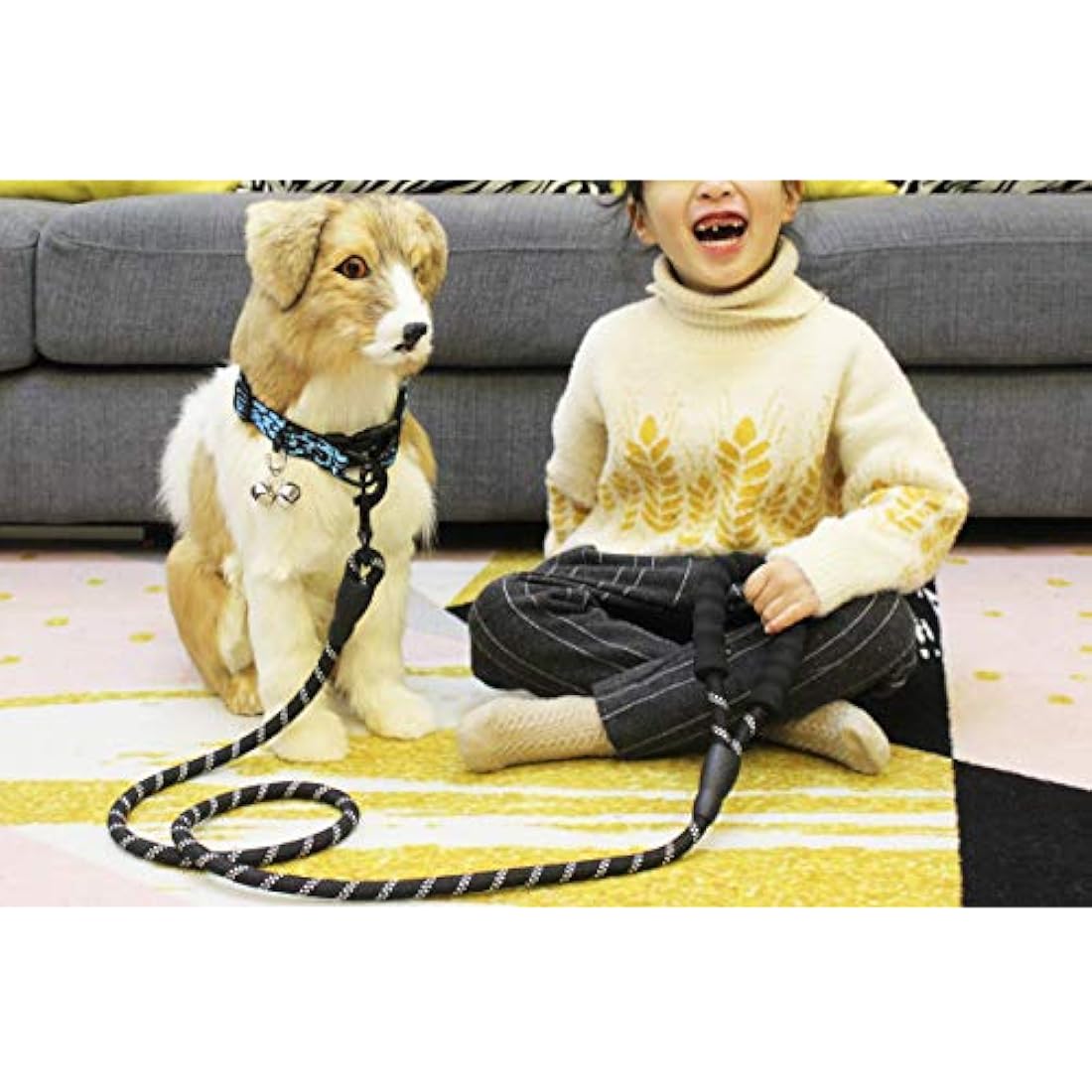 Correa fuerte para perros BAAPET de 5 pies