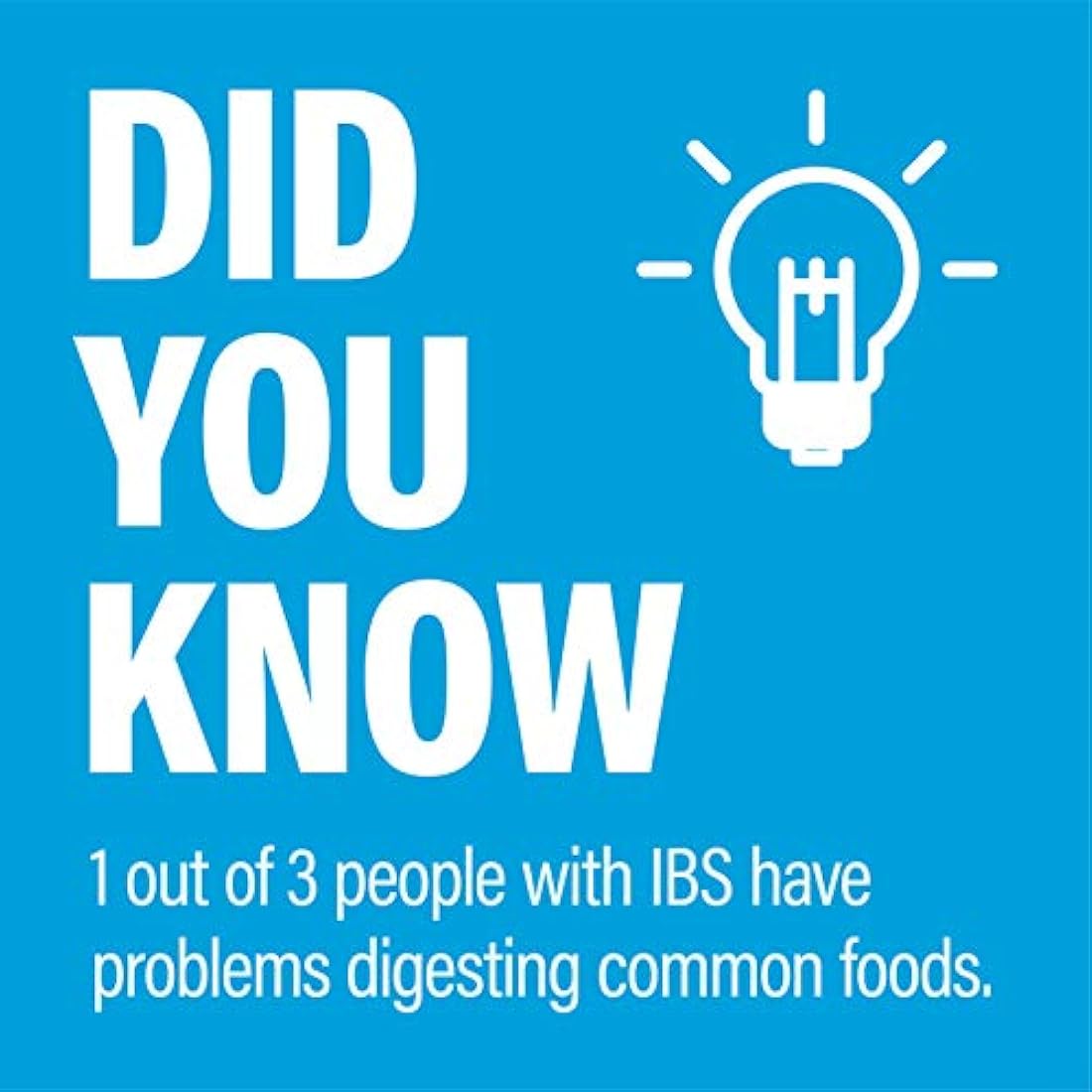 Enzimas digestivas más prebióticos y probióticos