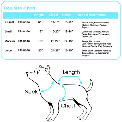 Disfraz de perro Stegosaurus, CALIFORNIA COSTUME COLLECTIONS, Grande