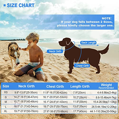 Chaleco salvavidas/traje de baño de seguridad con diseño