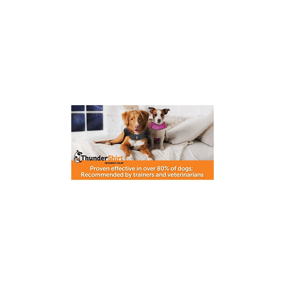 Camisetas de ansiedad para perro Tamaño: XS