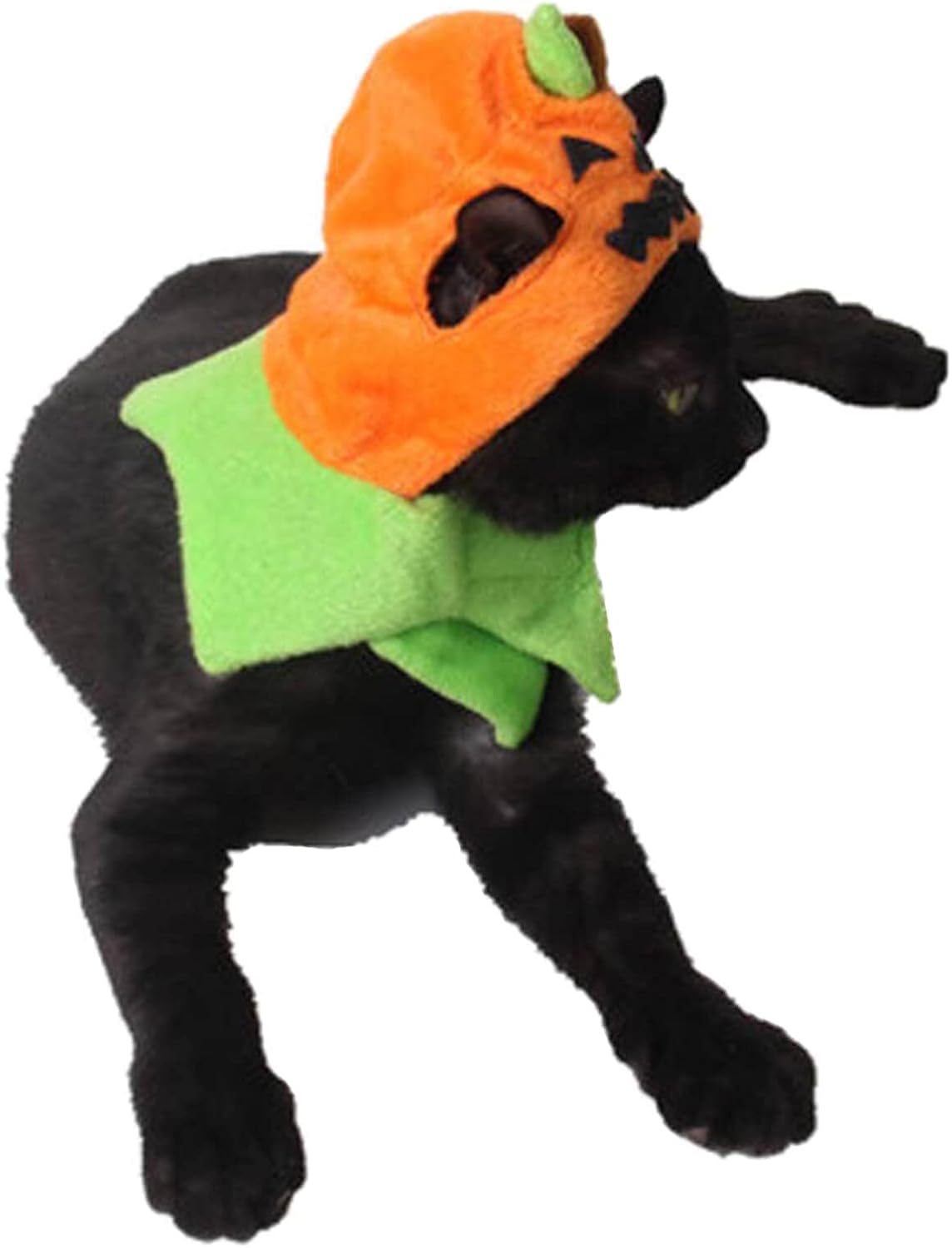 Gato Orgrimmar Sombrero Halloween Collar Cat Cosplay