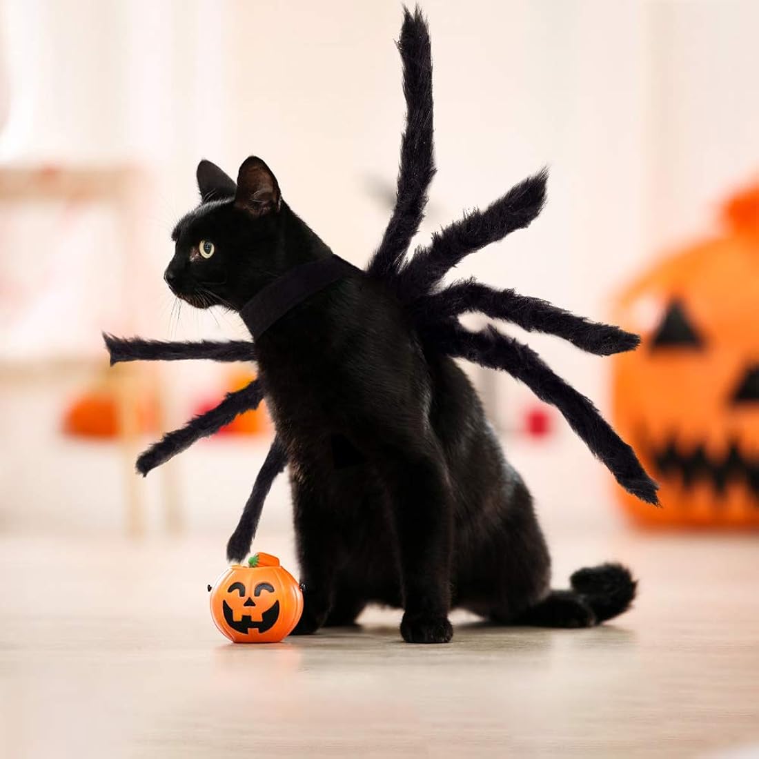 Disfraces de araña de Halloween para perro talla S