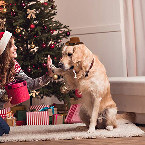 POPETPOP Sombrero de vaquero para perro, divertido sombrero de fiesta para mascotas, perros, gatos, accesorios de disfraz de vaquero para fiestas navideñas (café)