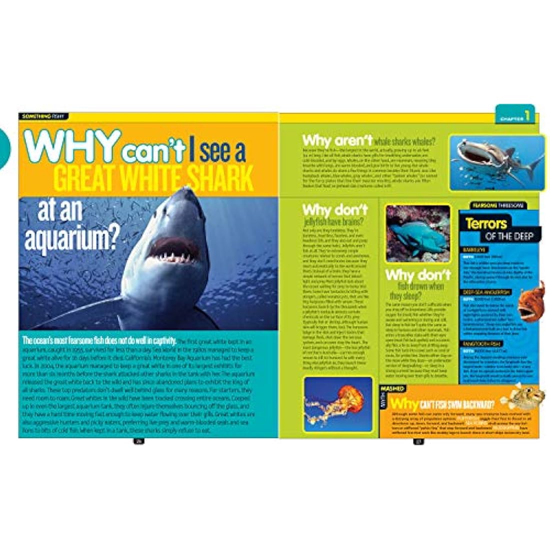 National Geographic Kids