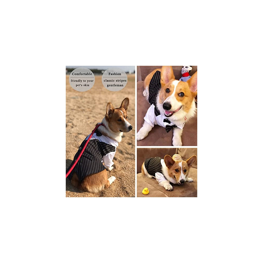 Disfraces de Camisa de esmoquin para perro talla XS
