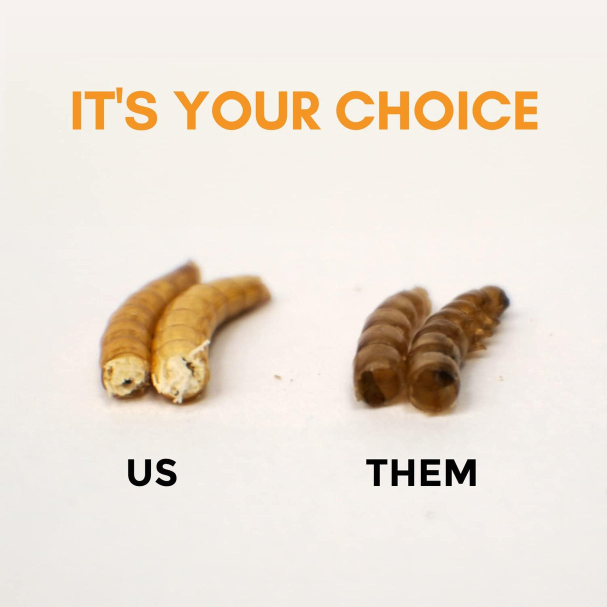 Alimentos para pájaros silvestres 7 onzas