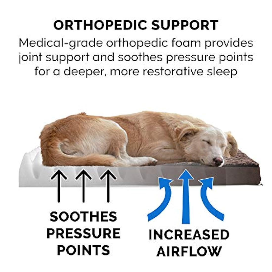 Cama para perros Furhaven para mascotas