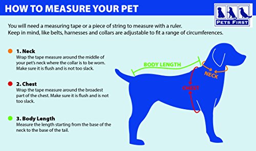 Camisa de la NFL para mascota, para perros y gatos, duradera, 5 tamaños disponibles en 32 equipos de la NFL, camisetas de la NFL para mascotas y camisetas de color del equipo