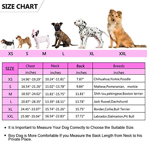 Queenmore chaleco salvavidas para perros Ripstop, chaleco salvavidas de seguridad con alta flotabilidad y asa de elevación para razas pequeñas y medianas