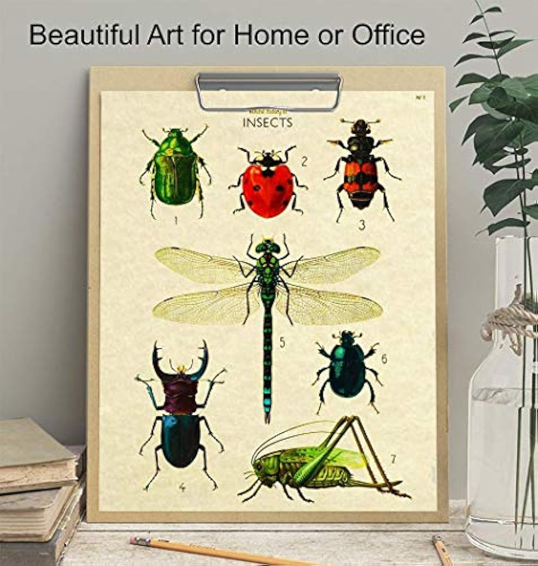 póster de arte de pared 8x10 póster de error científico