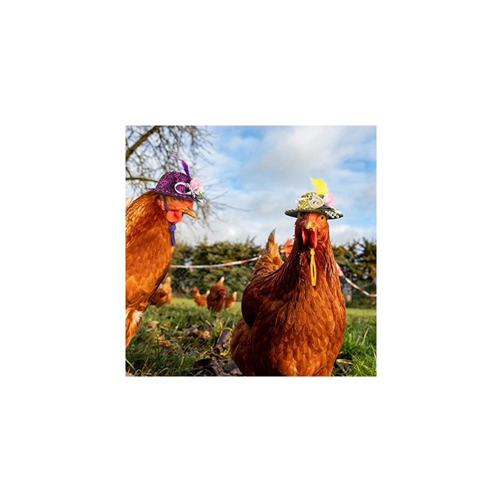 Disfraces 6 piezas de sombreros de pollo talla única
