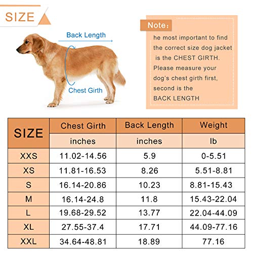 HAOCOO - Chaleco salvavidas para perro, chaleco salvavidas, traje de baño de seguridad con rayas reflectantes/cinturón ajustable para perro.